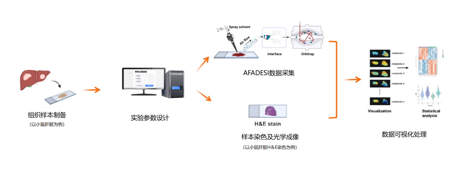 AFADESI實(shí)驗流程_02.jpg